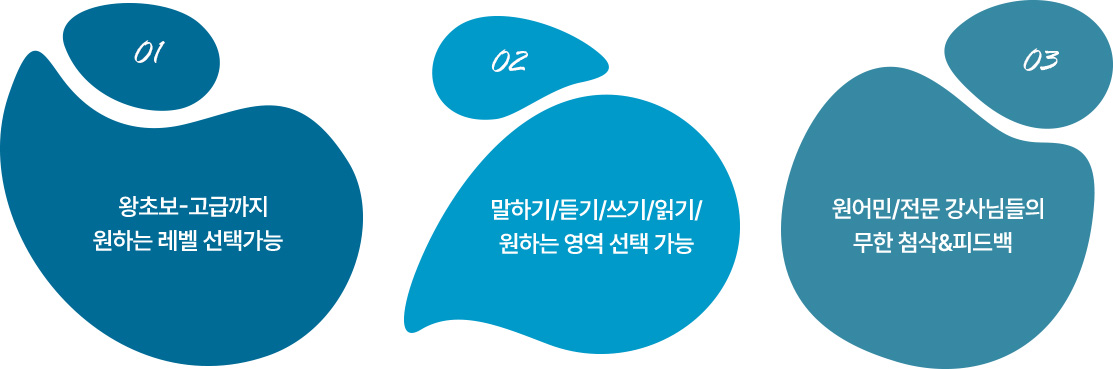 1. 왕초보-고급까지 원하는 레벨 선택가능 2. 말하기/듣기/쓰기/읽기/ 원하는 영역 선택 가능 3. 원어민/전문 강사님들의 무한 첨삭&피드백