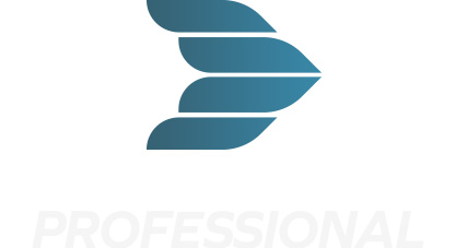 PROFESSIONAL